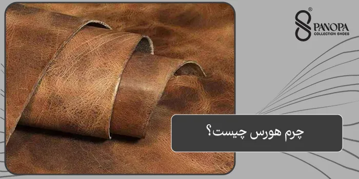 چرم هورس چیست؟