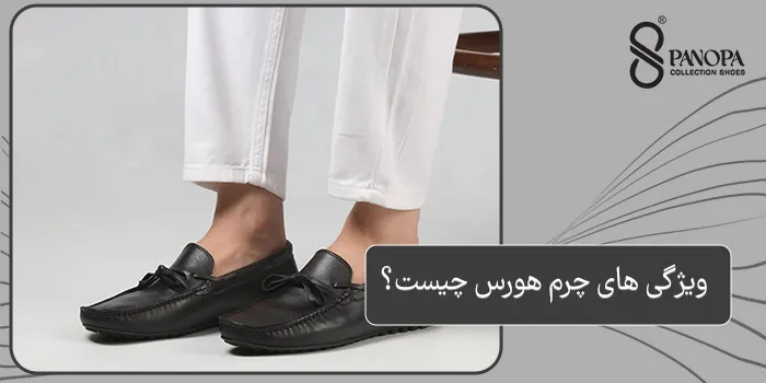 ویژگی های چرم هورس چیست؟